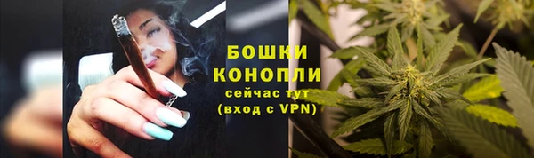 винт Богородск