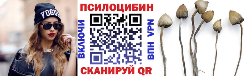 Псилоцибиновые грибы Cubensis  Чита 