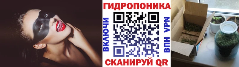 Бошки Шишки VHQ  Чита 